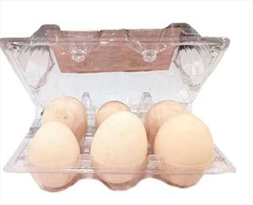 Picture of DESI EGGS 6 PC